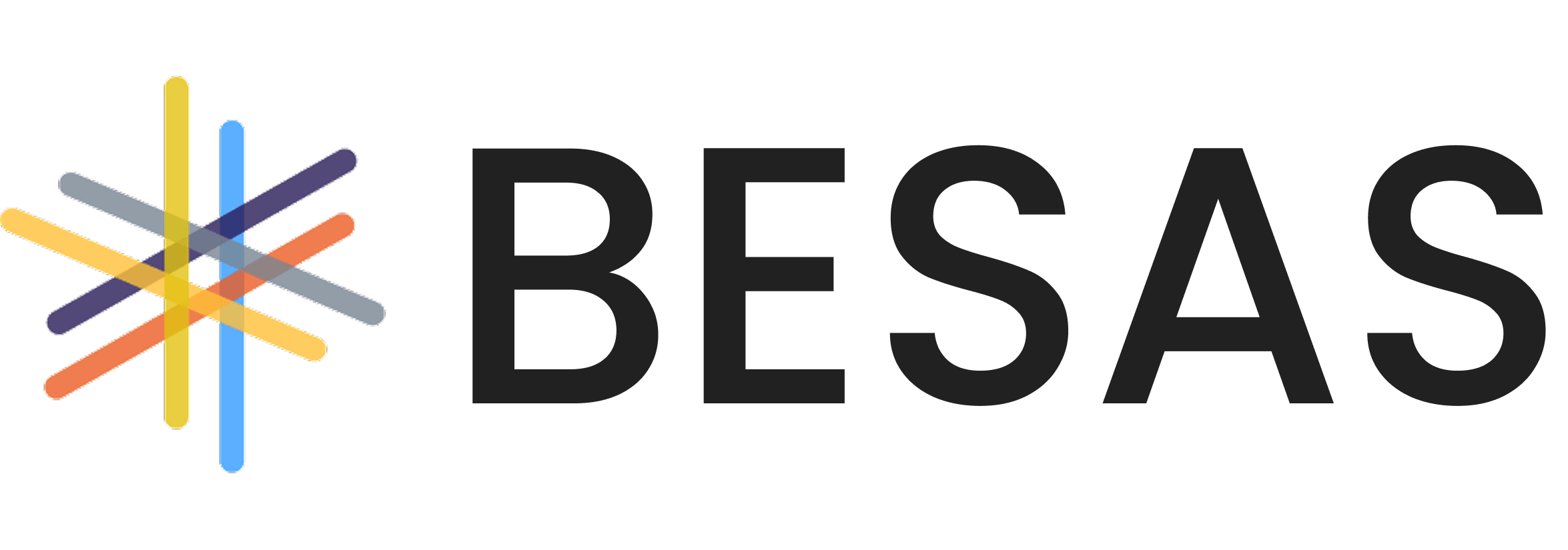 BESAS logo